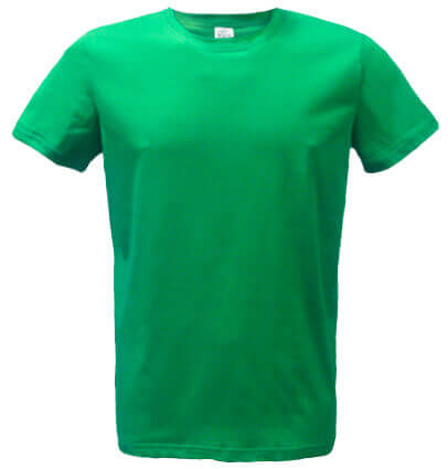 Футболка мужская, с коротким рукавом, цвет: зеленый