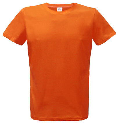 Футболка мужская, с коротким рукавом, цвет: оранжевый